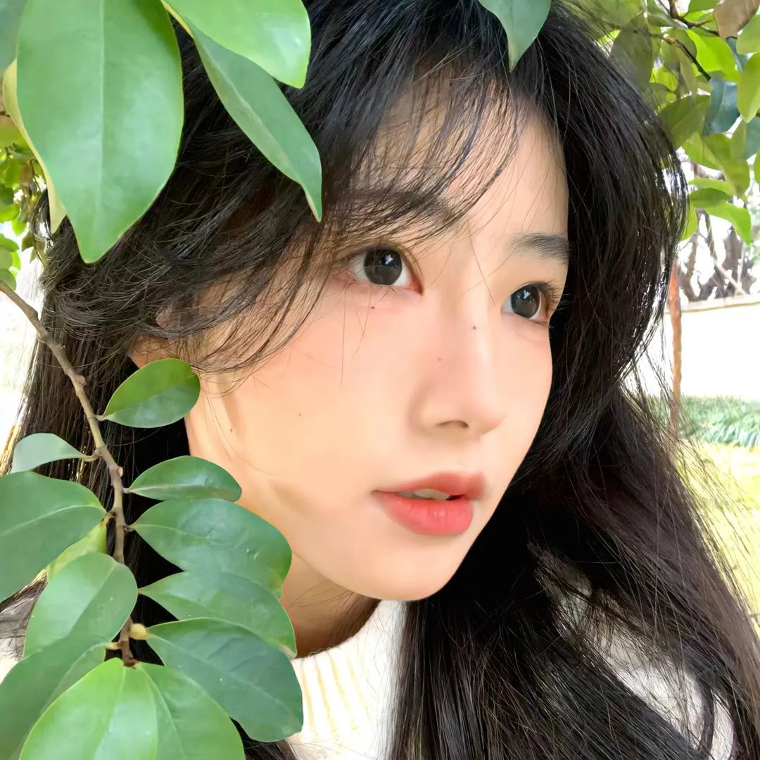 梦幻书院第六季